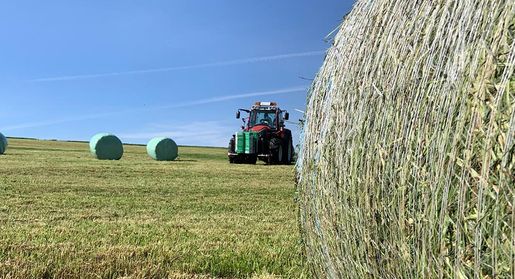 Landwirtschaft Traunviertel